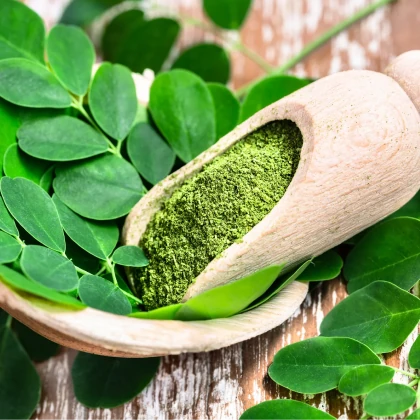 Hojas de moringa